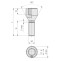 BS1ACN50 BOLT STAR D23 M12x125 CONE 60° GALV